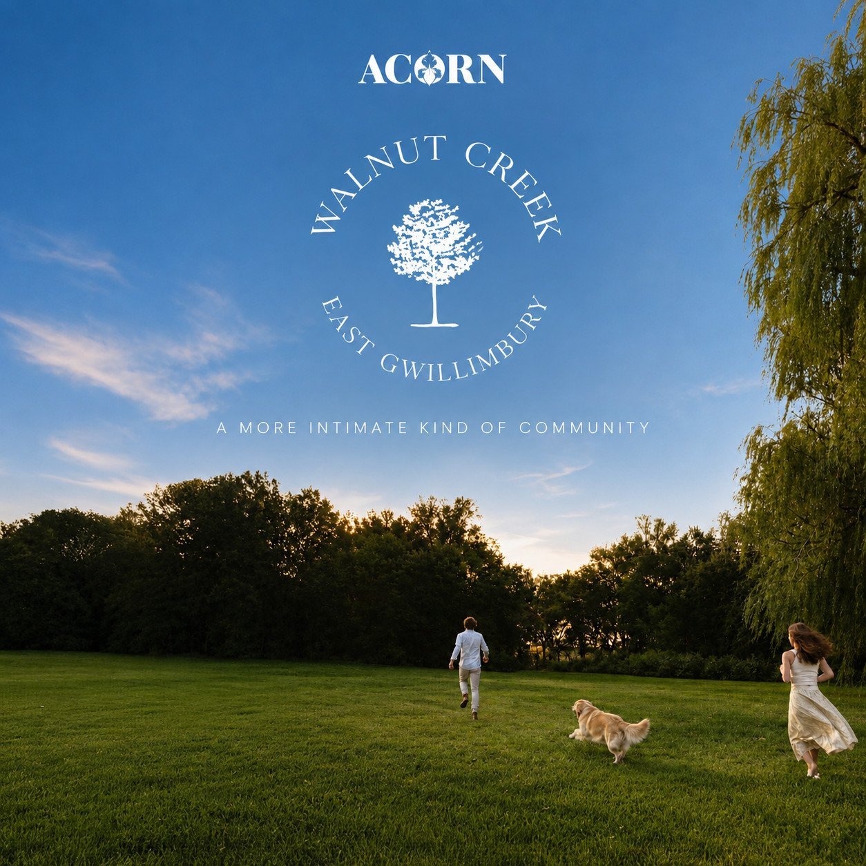 York Region New Townhomes Guide